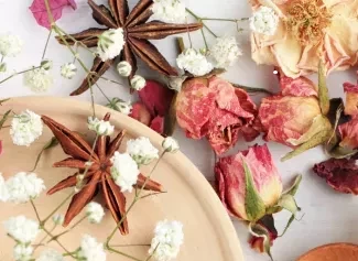 La rage de dents - Sympt&ocirc;mes et rem&egrave;des de secours